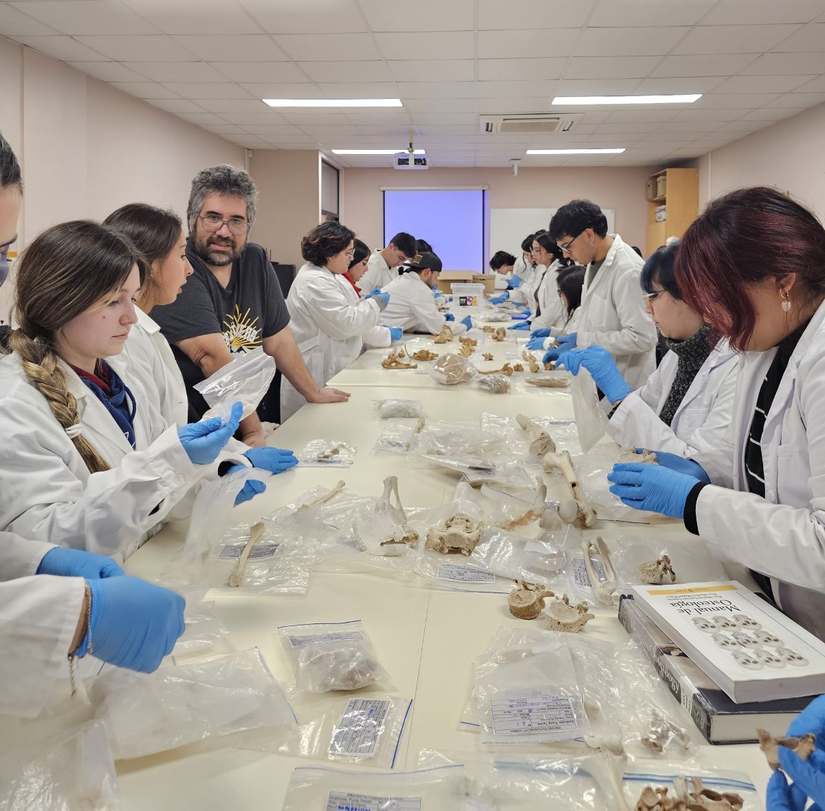 Laboratorio de Osteología